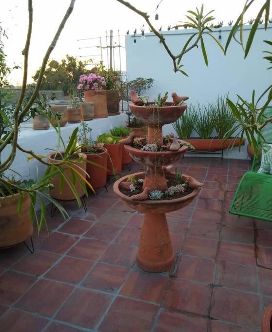 Casa Cuauhtemoc Villa Guadalajara Exterior foto